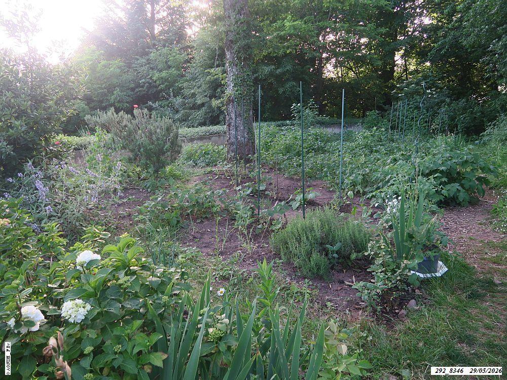 jardin