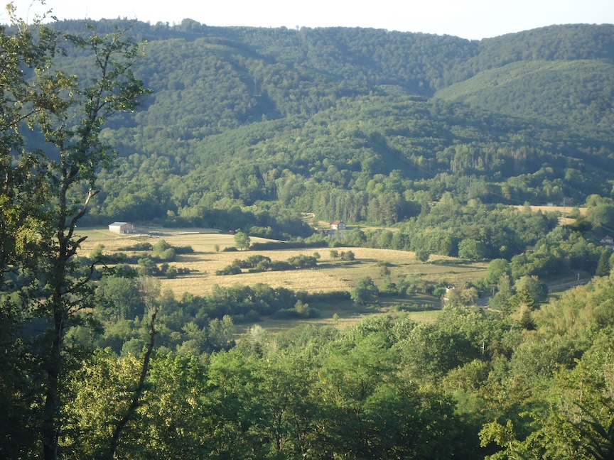 DSC07749