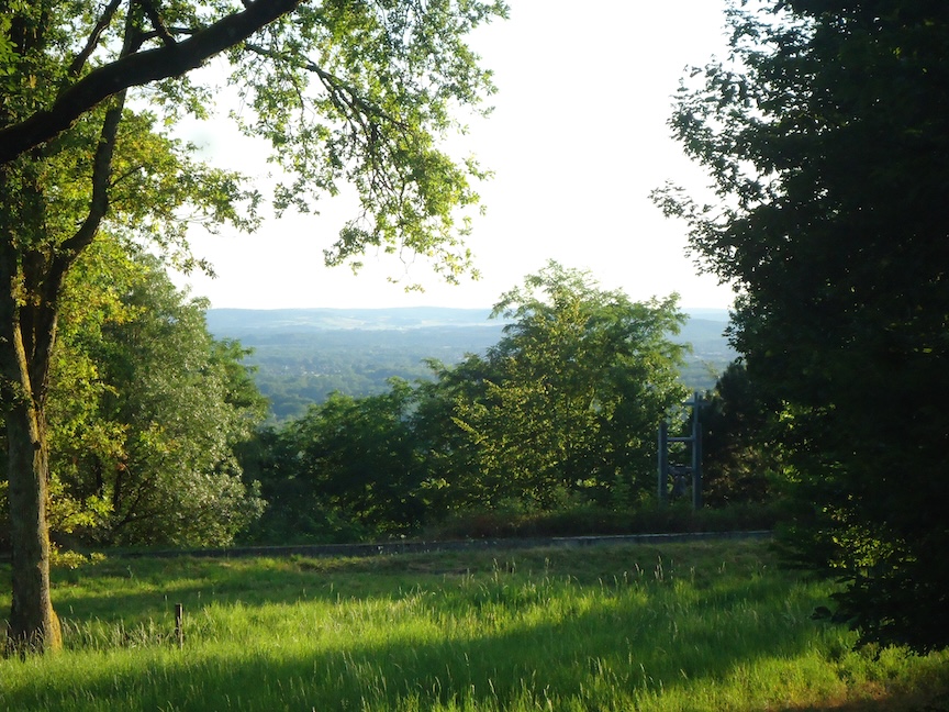 DSC07755 2